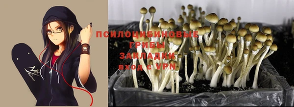 кокаин VHQ Белокуриха
