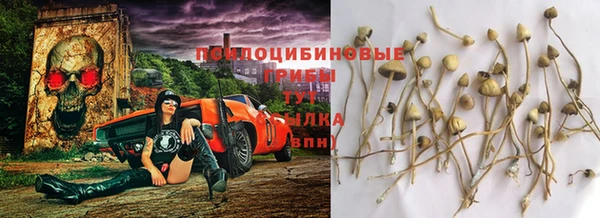 бутират Беломорск