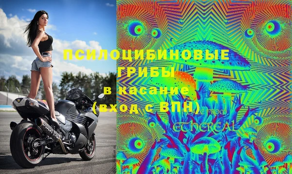СК Белоозёрский