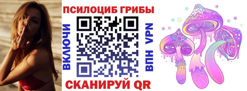 Псилоцибиновые грибы мицелий  kraken маркетплейс  Бугульма  дарнет шоп 